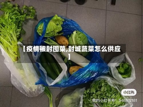 【疫情被封囤菜,封城蔬菜怎么供应】-第2张图片