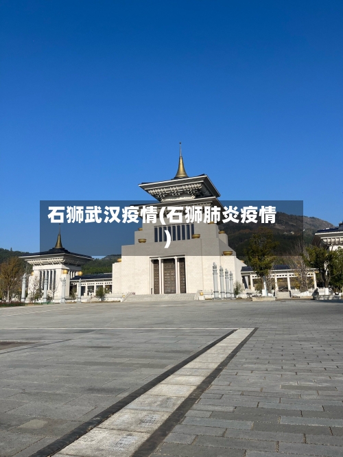 石狮武汉疫情(石狮肺炎疫情)