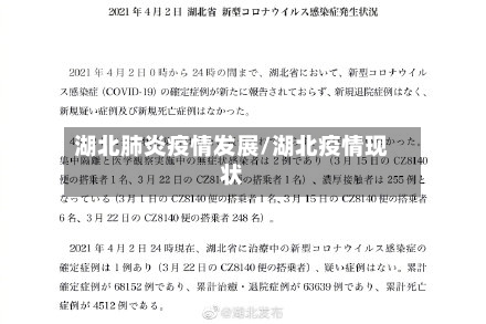 湖北肺炎疫情发展/湖北疫情现状-第3张图片