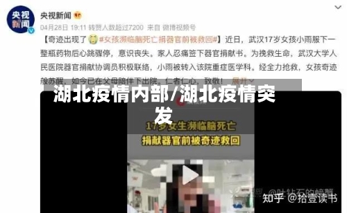 湖北疫情内部/湖北疫情突发