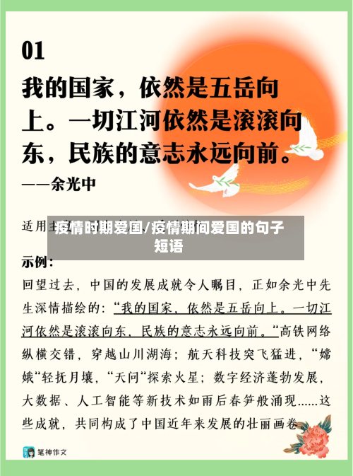 疫情时期爱国/疫情期间爱国的句子短语