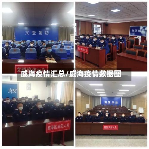 威海疫情汇总/威海疫情数据图-第2张图片