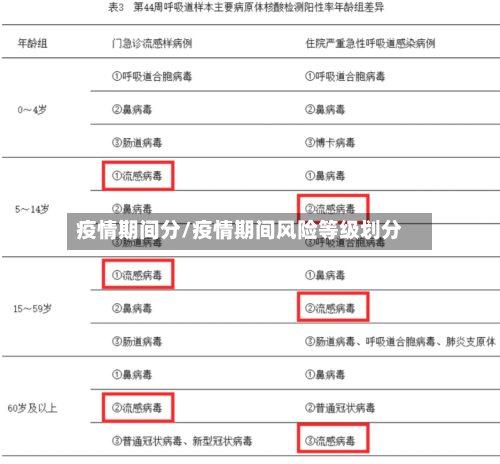 疫情期间分/疫情期间风险等级划分