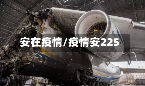 安在疫情/疫情安225