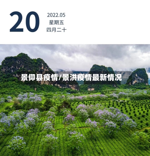 景仰县疫情/景洪疫情最新情况-第2张图片