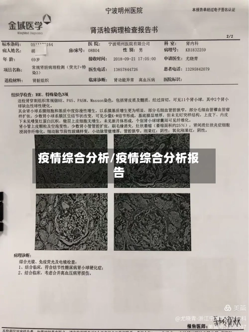 疫情综合分析/疫情综合分析报告