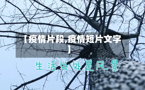 【疫情片段,疫情短片文字】-第3张图片