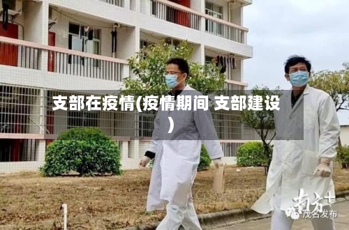 支部在疫情(疫情期间 支部建设)