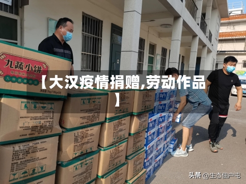 【大汉疫情捐赠,劳动作品】-第2张图片