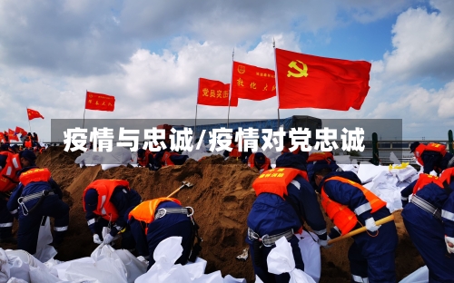 疫情与忠诚/疫情对党忠诚