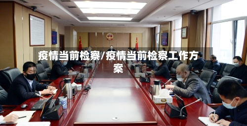疫情当前检察/疫情当前检察工作方案