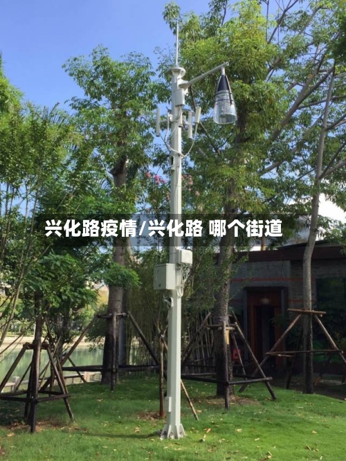 兴化路疫情/兴化路 哪个街道