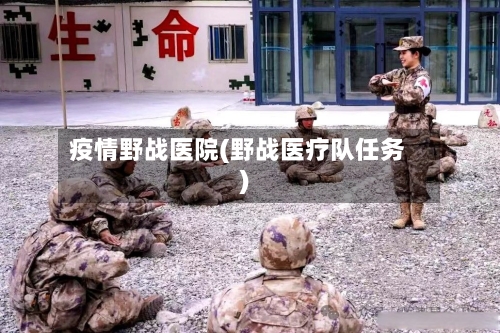 疫情野战医院(野战医疗队任务)