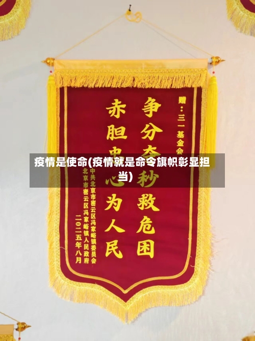 疫情是使命(疫情就是命令旗帜彰显担当)