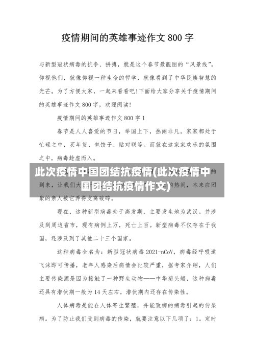 此次疫情中国团结抗疫情(此次疫情中国团结抗疫情作文)-第3张图片