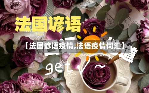 【法国谚语疫情,法语疫情词汇】-第2张图片