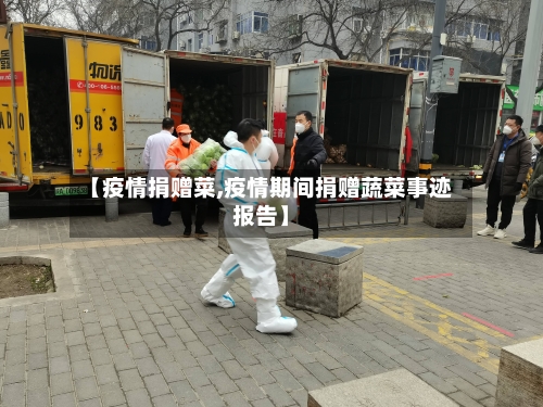 【疫情捐赠菜,疫情期间捐赠蔬菜事迹报告】