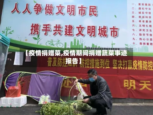 【疫情捐赠菜,疫情期间捐赠蔬菜事迹报告】-第2张图片