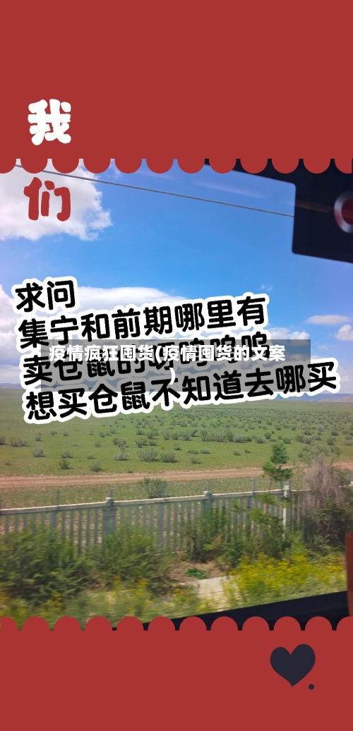 疫情疯狂囤货(疫情囤货的文案)-第3张图片