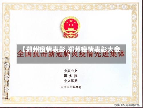 【郑州疫情表彰,郑州疫情表彰大会】