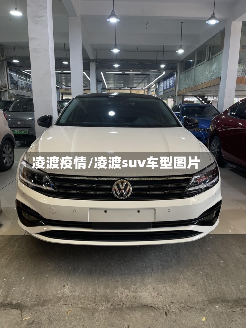 凌渡疫情/凌渡suv车型图片