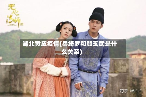 湖北黄皮疫情(岳绮罗和顾玄武是什么关系)-第2张图片