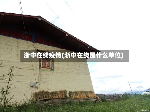 浙中在线疫情(浙中在线是什么单位)