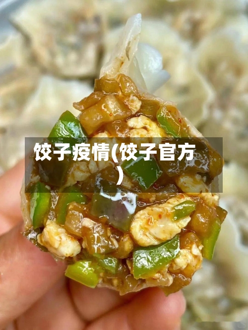 饺子疫情(饺子官方)