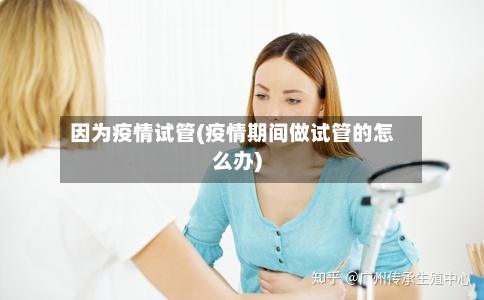 因为疫情试管(疫情期间做试管的怎么办)