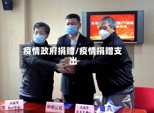疫情政府捐赠/疫情捐赠支出