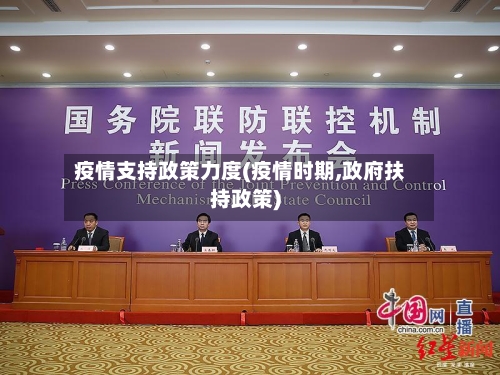 疫情支持政策力度(疫情时期,政府扶持政策)-第2张图片
