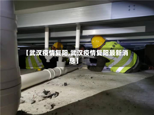 【武汉疫情复阳,武汉疫情复阳最新消息】-第2张图片