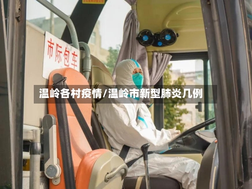 温岭各村疫情/温岭市新型肺炎几例-第2张图片