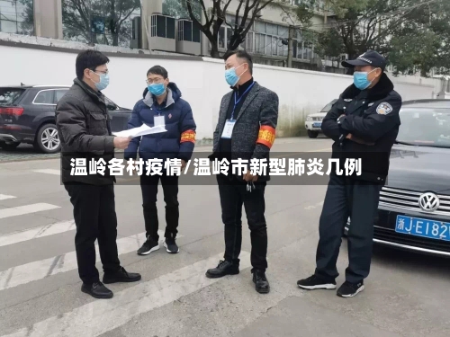 温岭各村疫情/温岭市新型肺炎几例