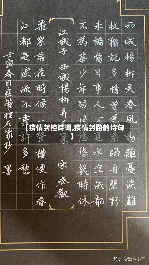 【疫情封控诗词,疫情封路的诗句】-第2张图片