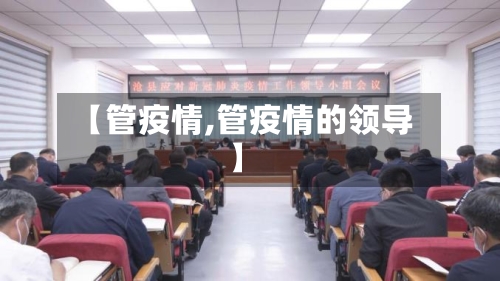 【管疫情,管疫情的领导】-第2张图片