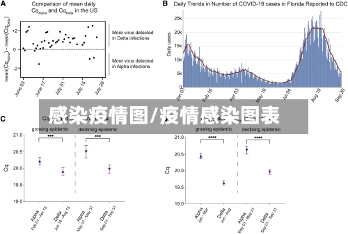 感染疫情图/疫情感染图表