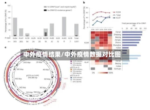 中外疫情结果/中外疫情数据对比图-第3张图片