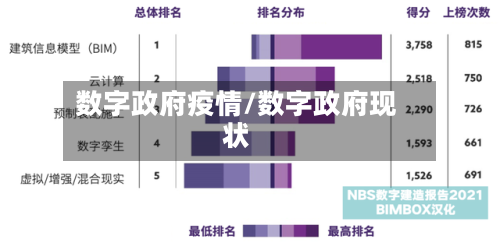 数字政府疫情/数字政府现状
