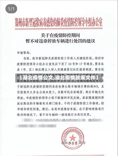 【湖北疫情公文,湖北疫情政策文件】-第3张图片