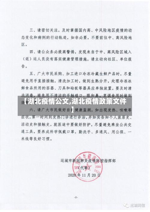 【湖北疫情公文,湖北疫情政策文件】-第2张图片