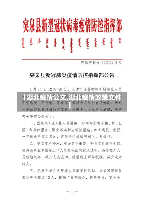 【湖北疫情公文,湖北疫情政策文件】