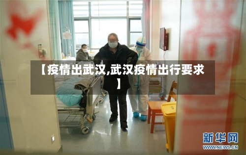 【疫情出武汉,武汉疫情出行要求】-第3张图片