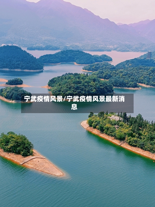 宁武疫情风景/宁武疫情风景最新消息-第3张图片