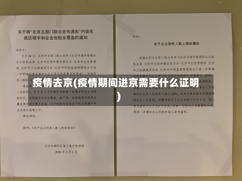 疫情去京(疫情期间进京需要什么证明)-第2张图片