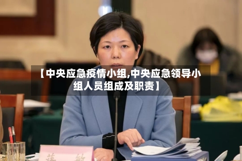 【中央应急疫情小组,中央应急领导小组人员组成及职责】-第2张图片