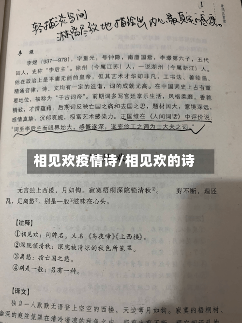 相见欢疫情诗/相见欢的诗
