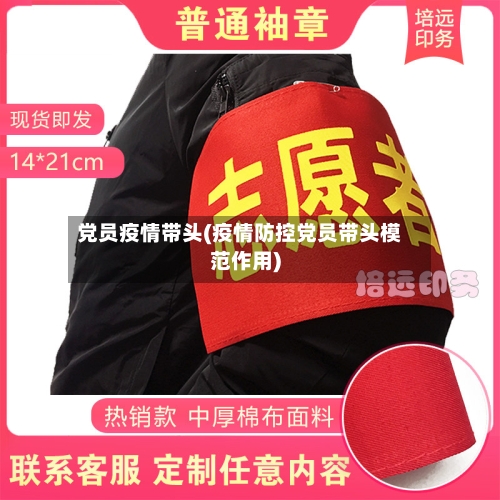 党员疫情带头(疫情防控党员带头模范作用)-第3张图片