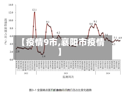 【疫情9市,襄阳市疫情】