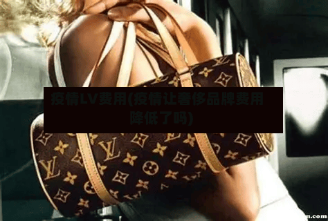 疫情LV费用(疫情让奢侈品牌费用降低了吗)-第2张图片